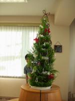 IMG_3263.jpg